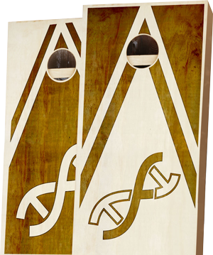 Cornhole Set